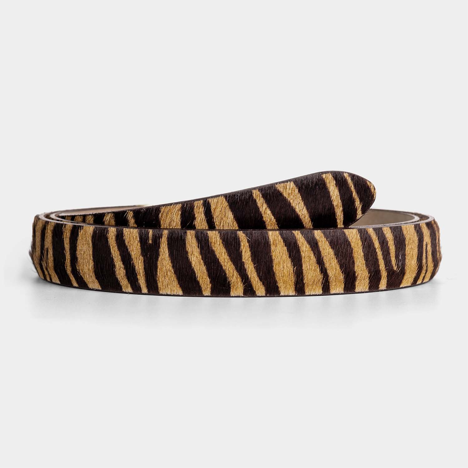 Safari